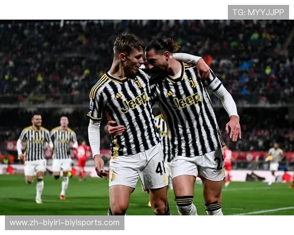 意甲赛事中参与比赛的全部球队名单与分布分析